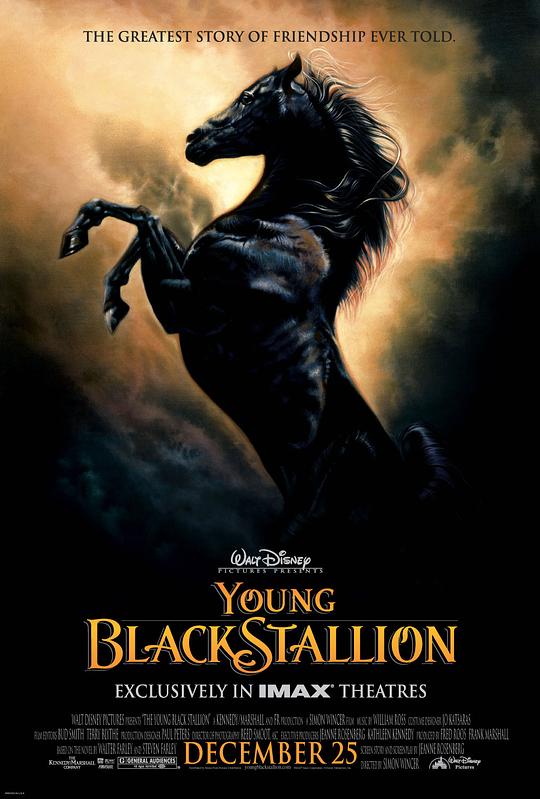 小黑马 The Young Black Stallion (2003)