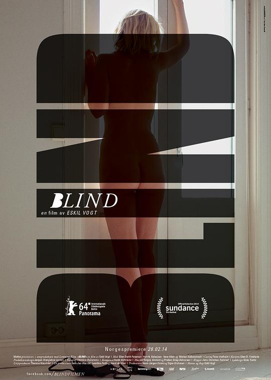 盲视 Blind (2014)