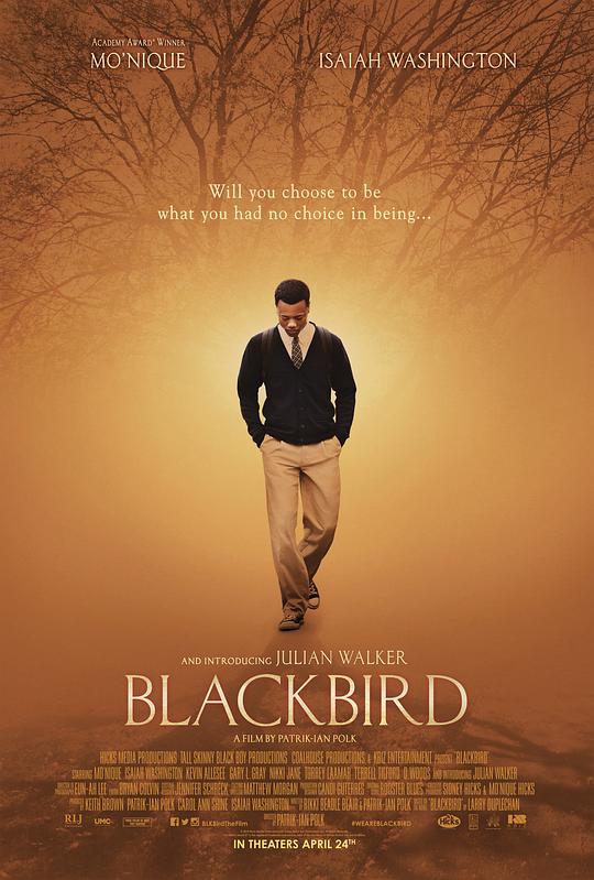 黑鸟 Blackbird (2014)