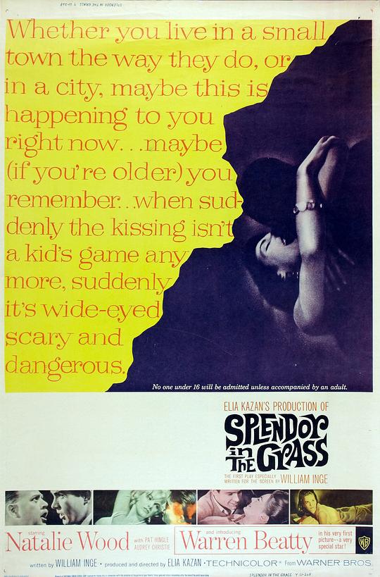 天涯何处觅知音 Splendor in the Grass (1961)