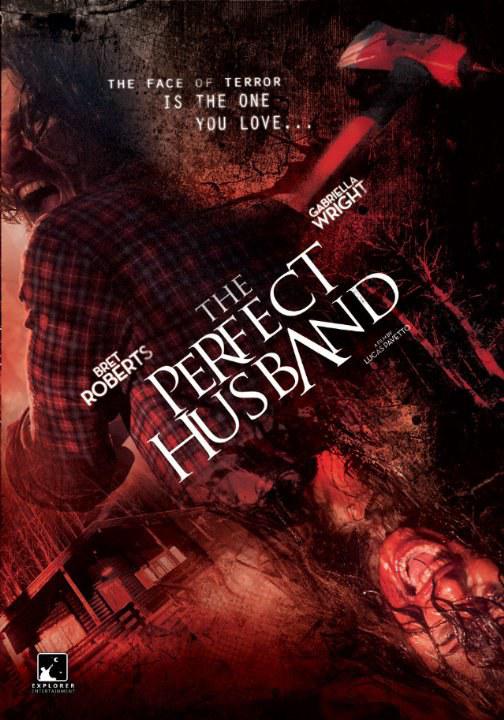 完美丈夫 The Perfect Husband (2014)