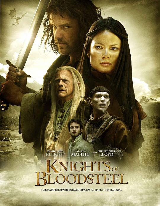 铁血骑士 Knights of Bloodsteel (2009)