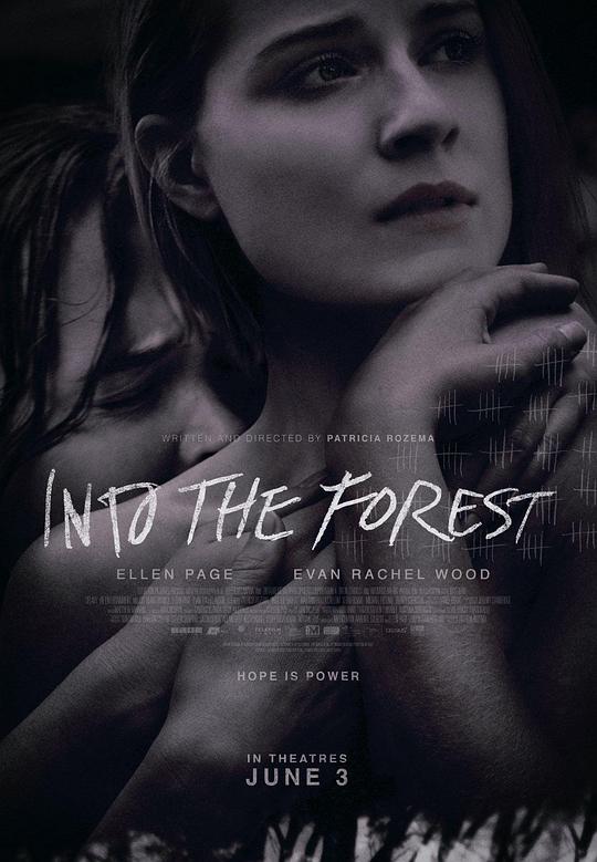 森林深处 Into the Forest (2015)