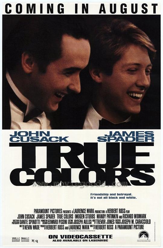 豪门恩怨 True Colors (1991)