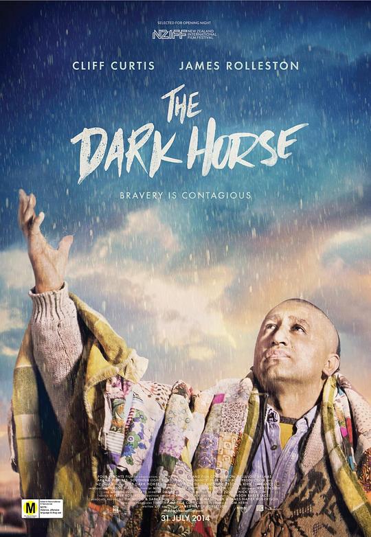 黑马 The Dark Horse (2014)