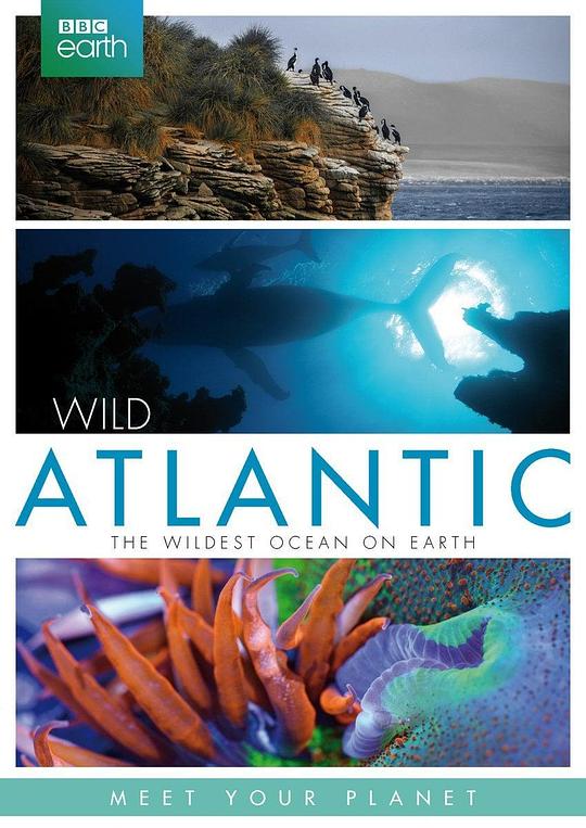 大西洋：地球最狂野的海洋 Atlantic: The Wildest Ocean on Earth (2015)