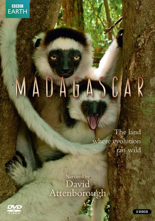 马达加斯加 Madagascar (2011)