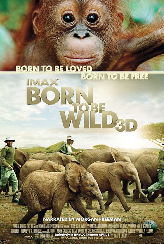 天生狂野 Born to Be Wild (2011)