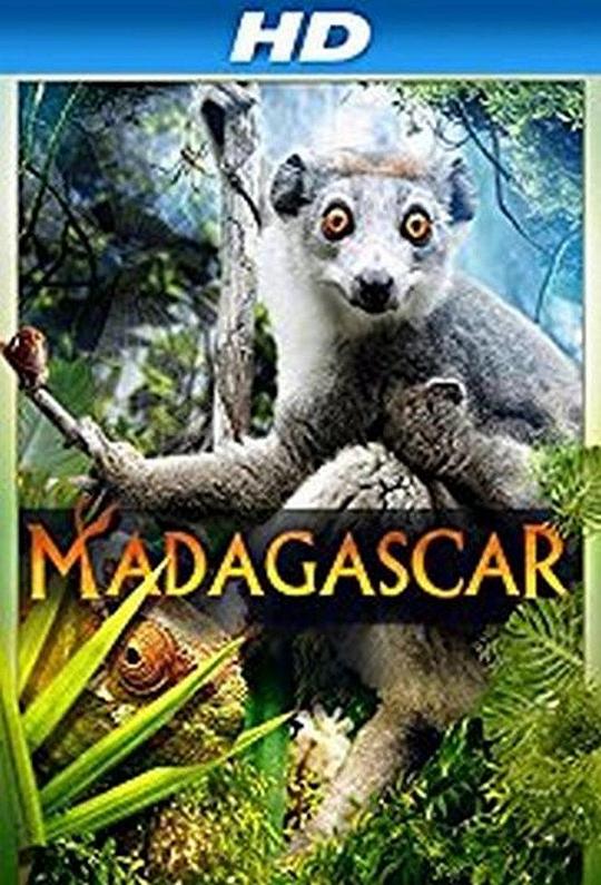马达加斯加 3D Madagascar 3D (2014)