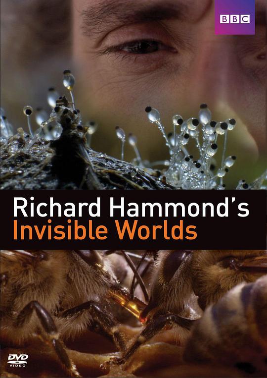 理查德·哈蒙德：看不见的世界 Richard Hammond's Invisible Worlds (2010)