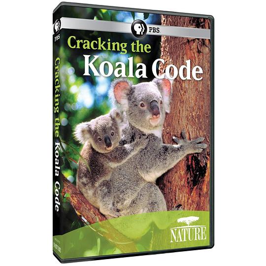 解密考拉生存密码 Cracking the Koala Code (2012)