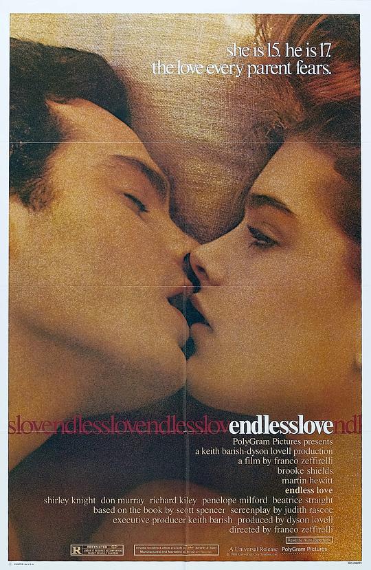 无尽的爱 Endless Love (1981)