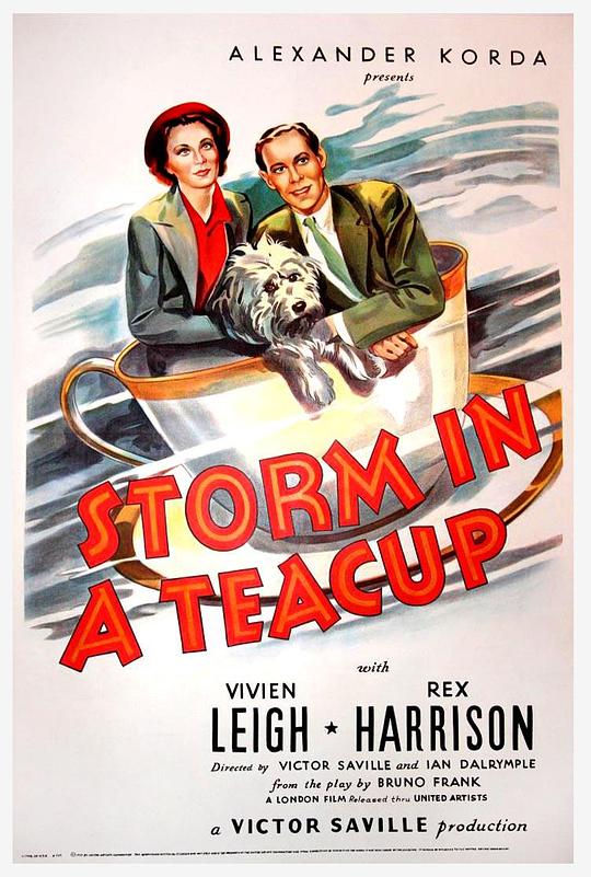 茶杯里的风暴 Storm in a Teacup (1937)
