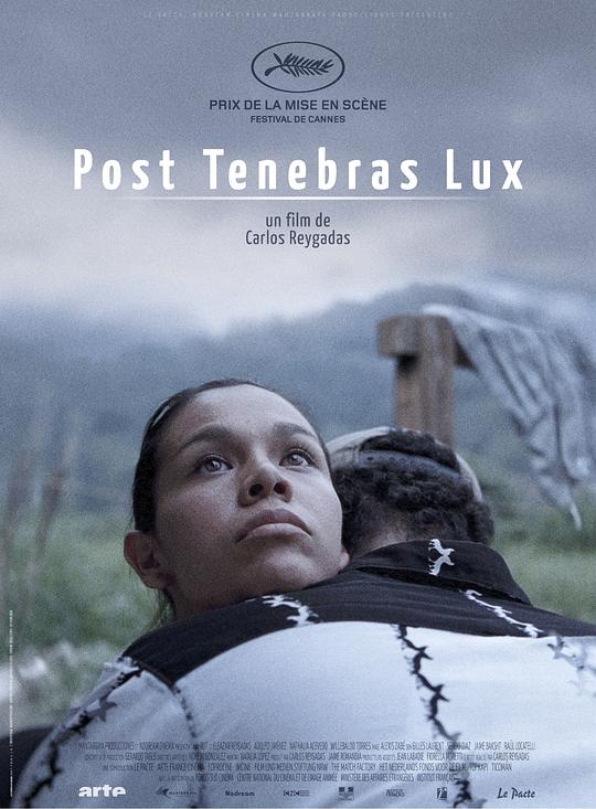 柳暗花明 Post Tenebras Lux (2012)