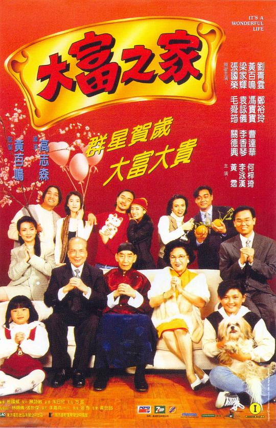 大富之家  (1994)