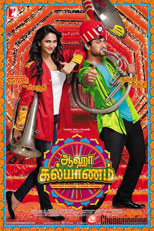 婚礼策划师 Aaha Kalyanam (2014)