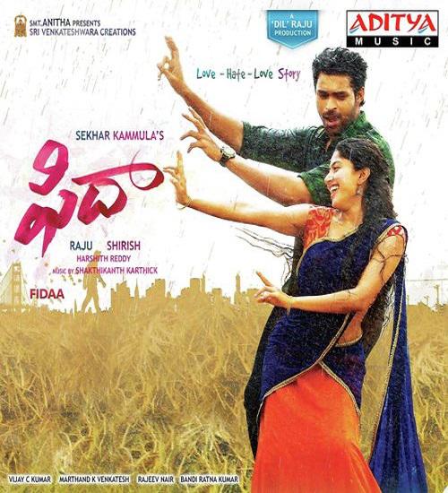 忠贞 Fidaa (2017)