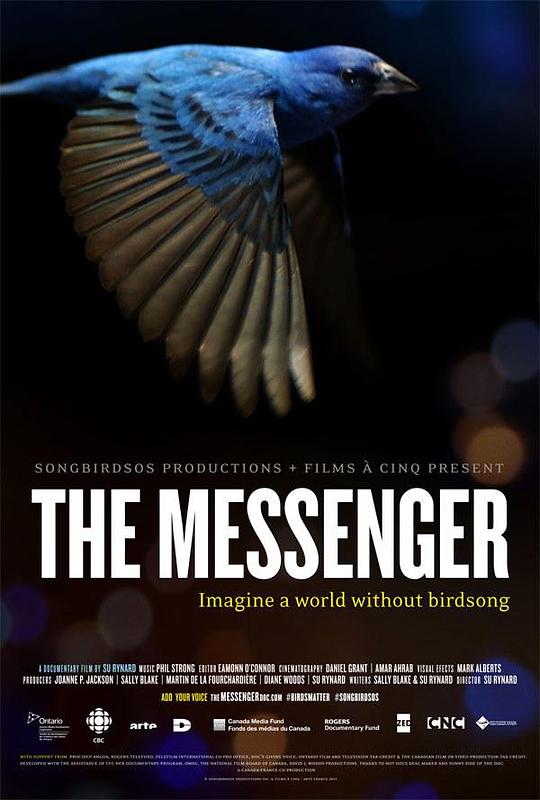 信使 The Messenger (2015)