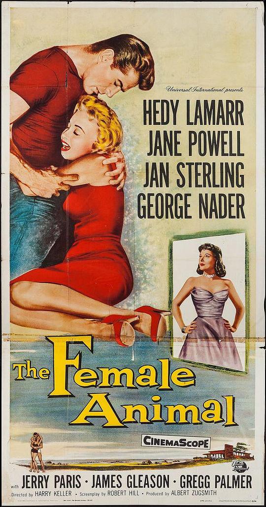 雌性动物 The Female Animal (1958)