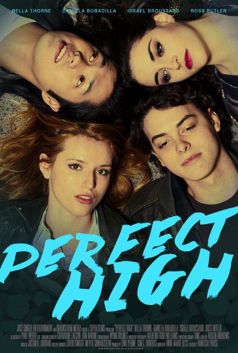 药瘾之殇 Perfect High (2015)