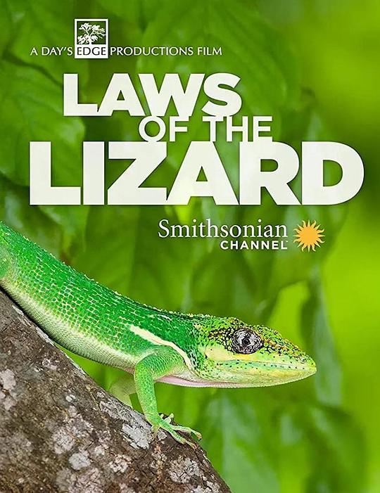 蜥蜴法则 Laws of the Lizard (2017)