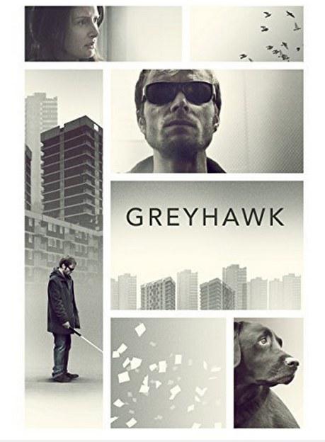 灰鹰 Greyhawk (2014)