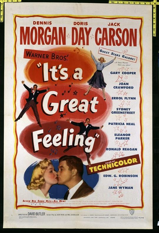 感觉好极了 It's a Great Feeling (1949)