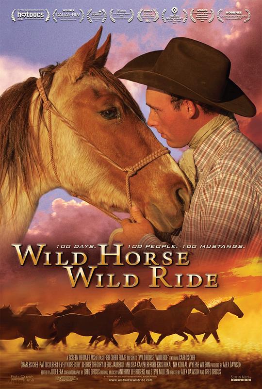 野马，狂行 Wild Horse, Wild Ride (2012)