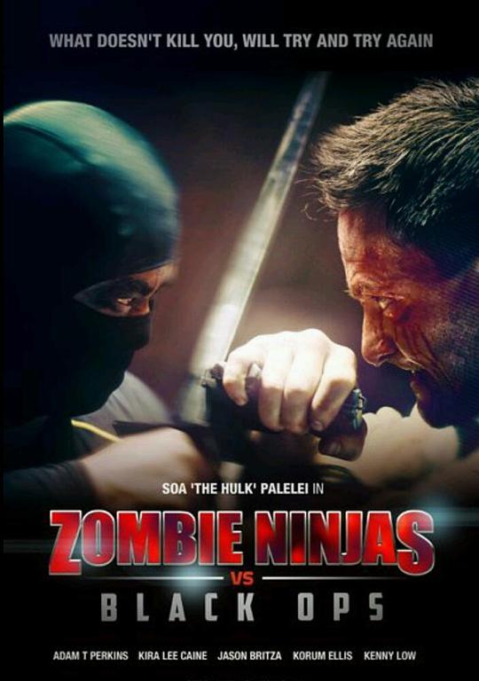 僵尸VS黑衣忍者 Zombie Ninjas vs Black Ops (2015)
