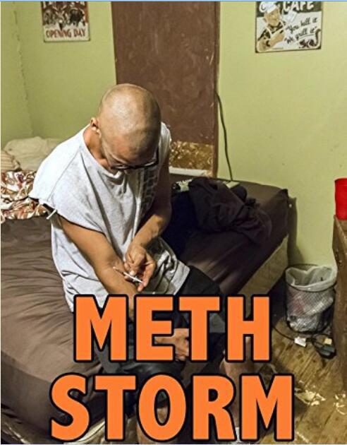 冰毒风暴 Meth Storm (2017)