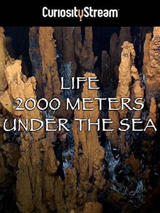 两千米深海生命 Life 2000 Meters Under The Sea (2014)