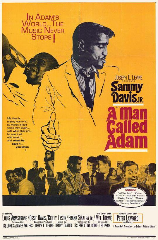 叫亚当的男人 A Man Called Adam (1966)