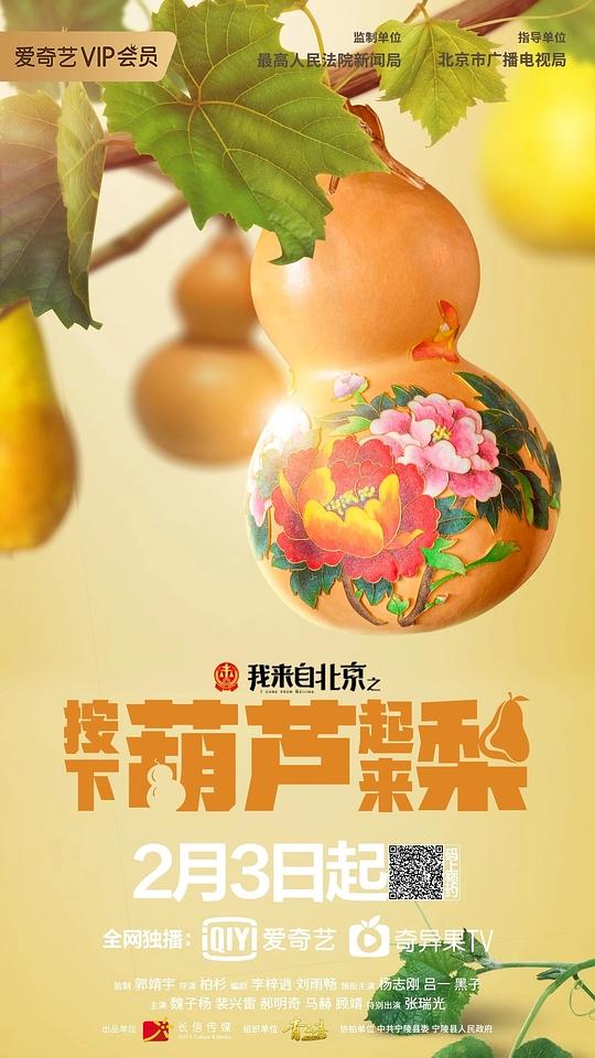 我来自北京之按下葫芦起来梨  (2021)