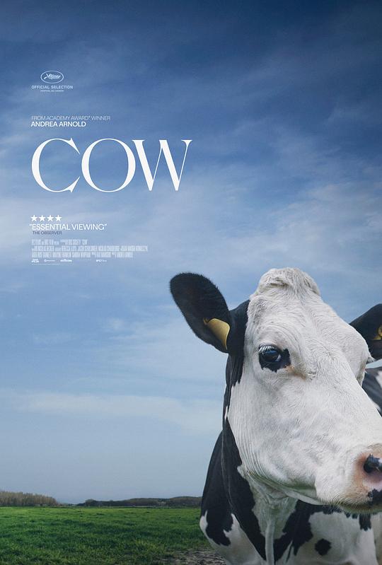 奶牛 Cow (2021)