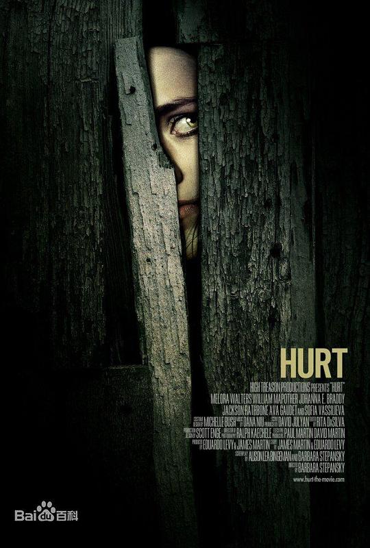 伤害 Hurt (2009)