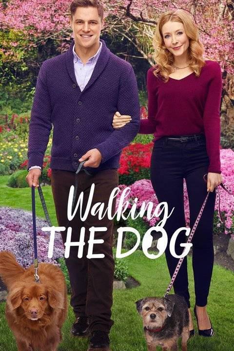 遛狗 Walking the Dog (2017)