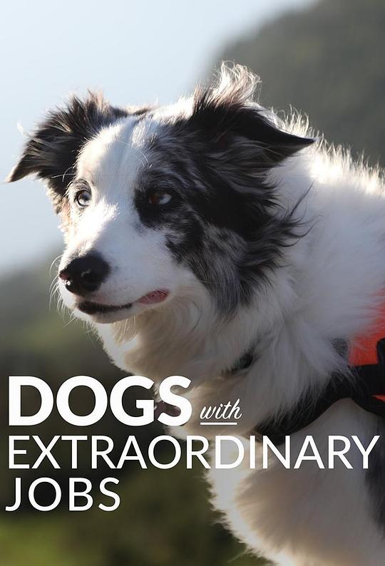 狗狗的非凡工作 第一季 Dogs with Extraordinary Jobs Season 1 (2019)