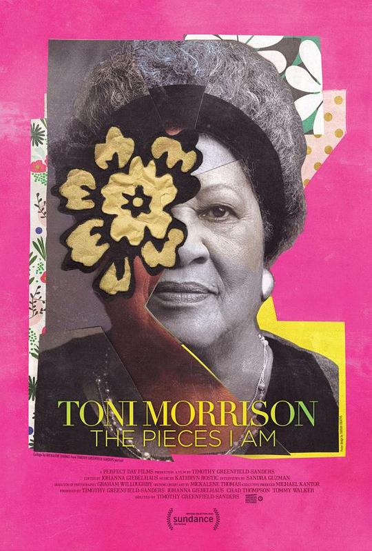 托妮·莫里森：我的作品 Toni Morrison: The Pieces I Am (2019)