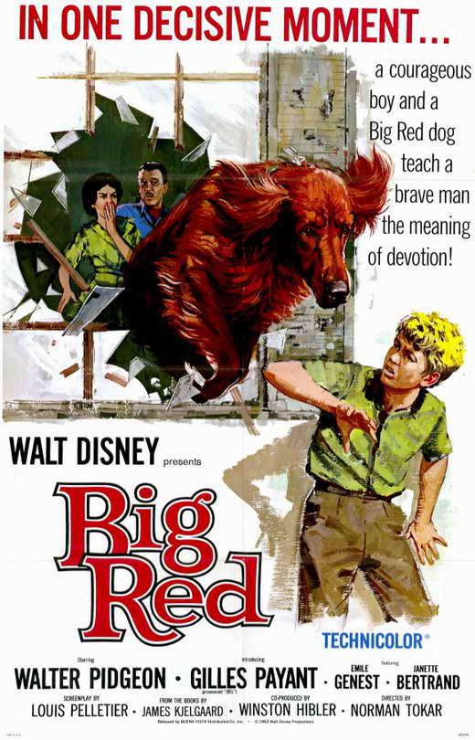 义犬情深 Big Red (1962)