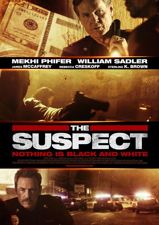 极度重犯 The Suspect (2013)