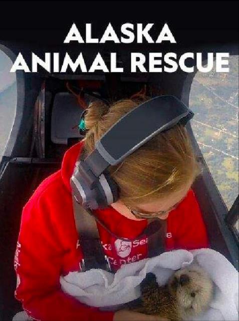 阿拉斯加野生动物救援 第一季 Alaska Animal Rescue Season 1 (2020)