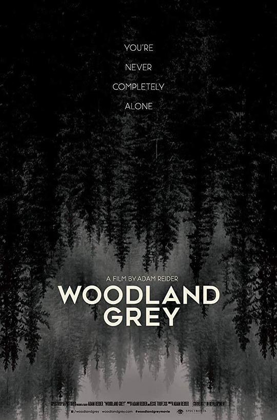 灰森林 Woodland Grey (2019)