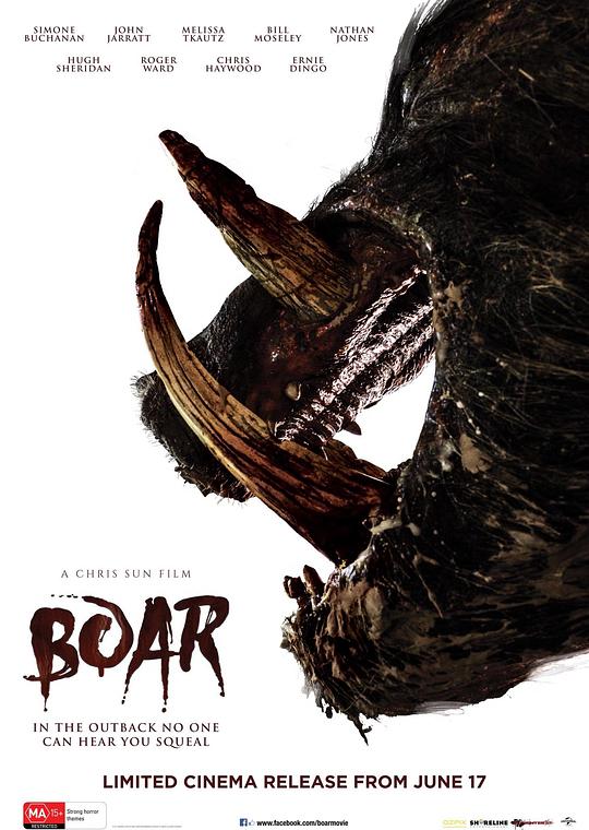 野猪 Boar (2017)