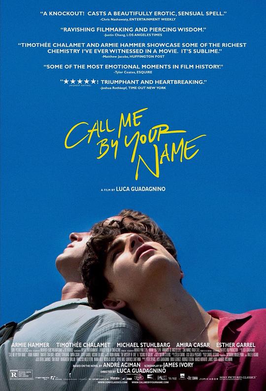 请以你的名字呼唤我 Call Me by Your Name (2017)