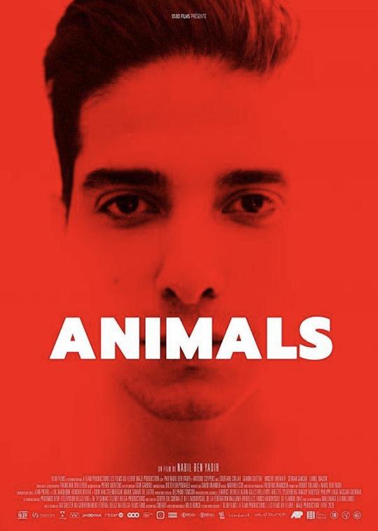 动物 Animals (2020)