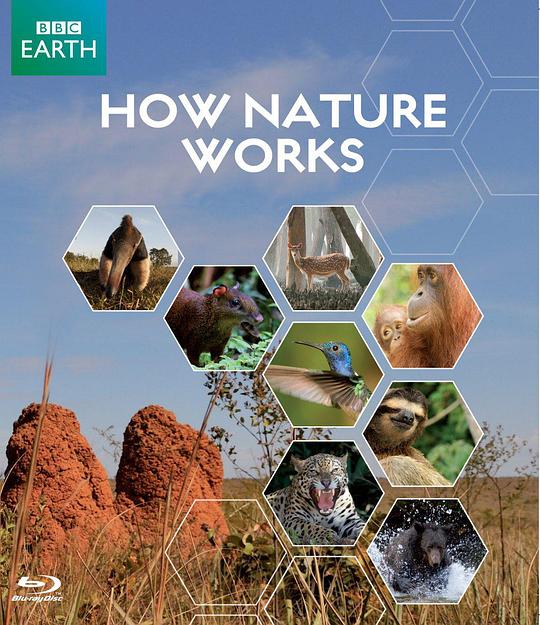 自然的运作 How Nature Works (2012)