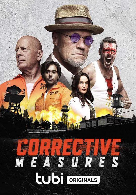 纠正措施 Corrective Measures (2022)