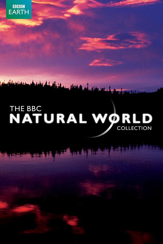 BBC 自然世界 2010 神秘的豹 BBC.Natural.World.2010.The.Secret.Leopards (2010)