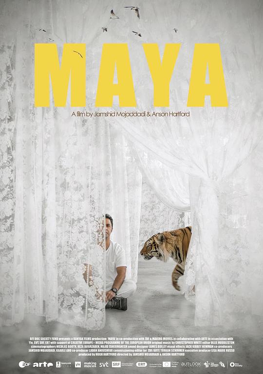 养虎为友 Maya (2020)