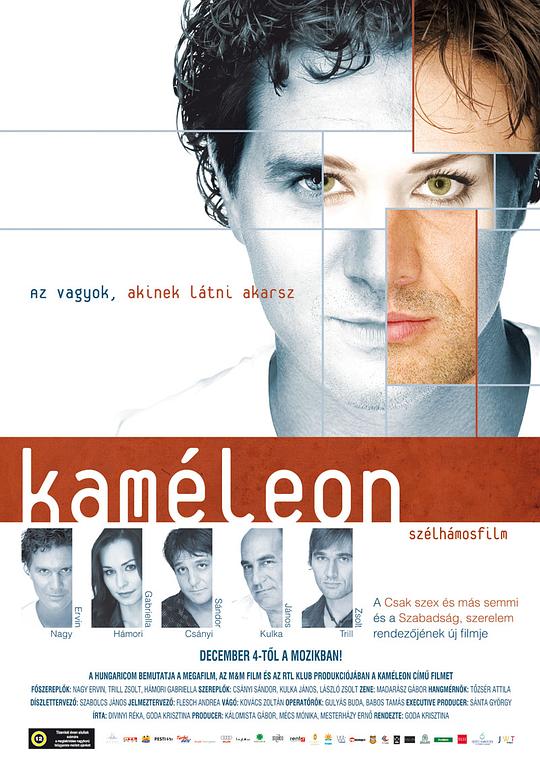 变色龙 Kaméleon (2008)